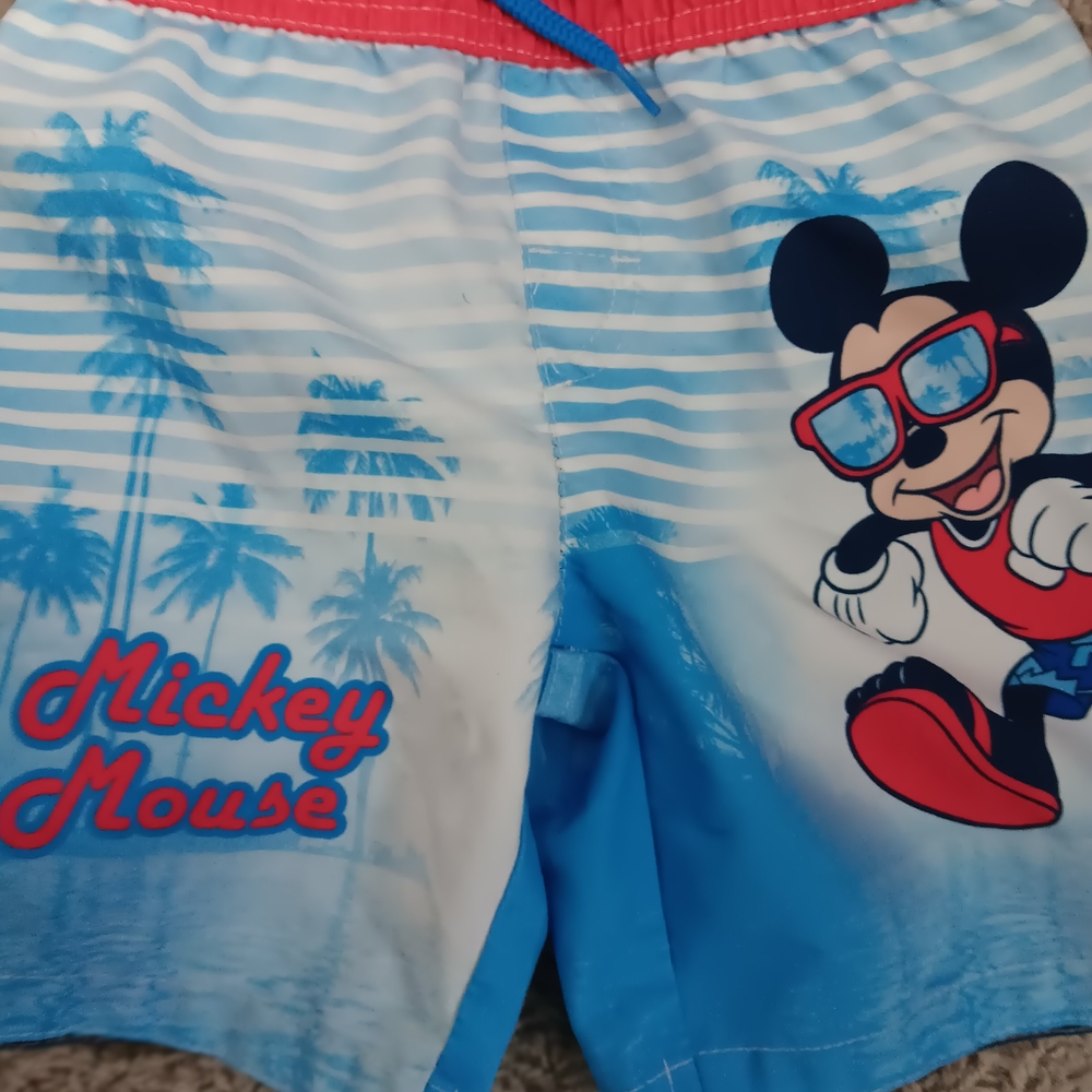Disney Striped Swim Trunks with Red and Blue Accents